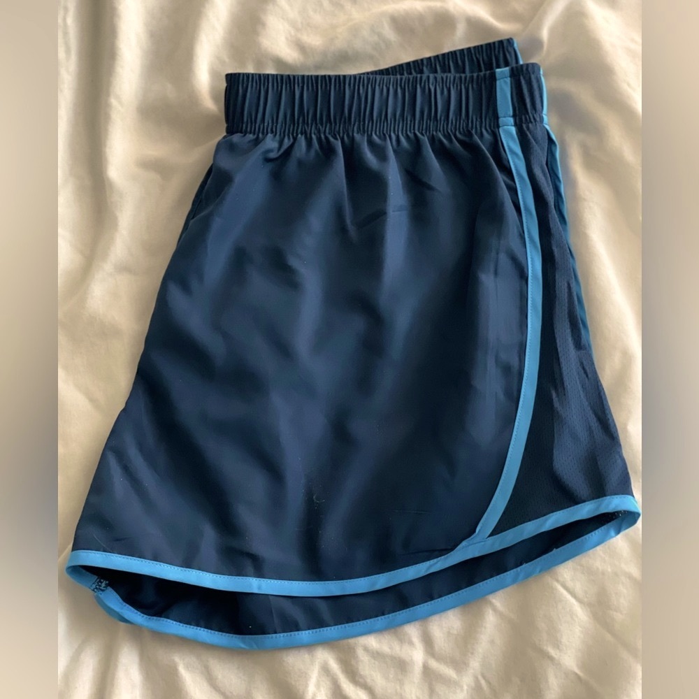 Pretty Blue Athletic Shorts, Size Large